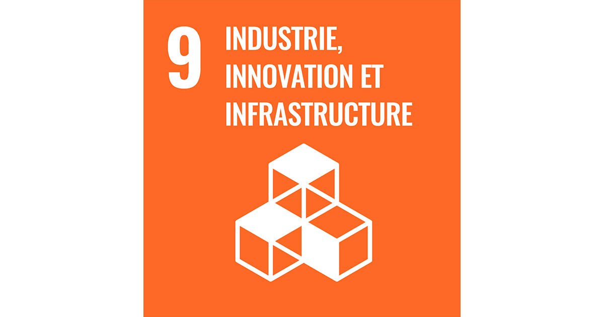 9 Industrie, Innovation et Infrastructure 